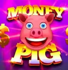 1xbet personnalisé